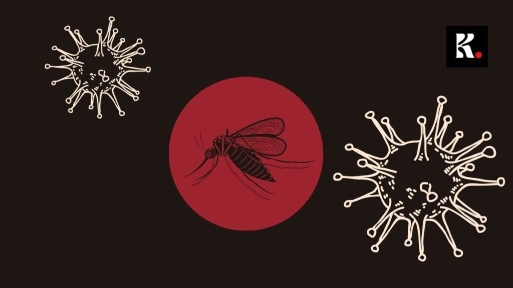 Home dengue sri lanka knews
