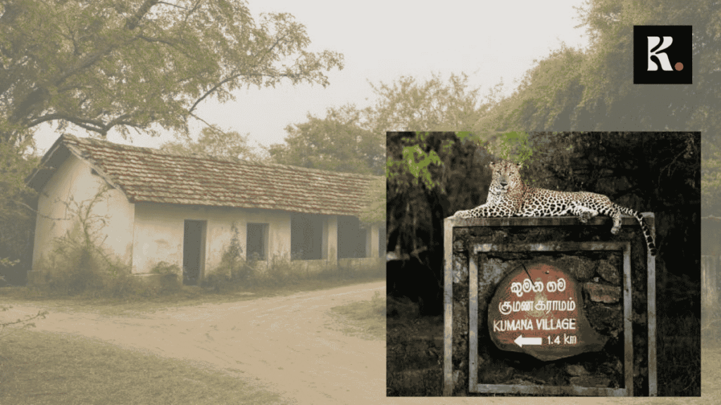 kumana gama yaman putha knews
