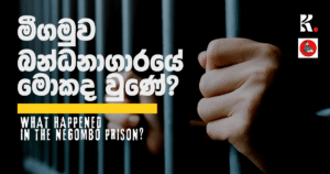 what happened in the negombo prison kvideo