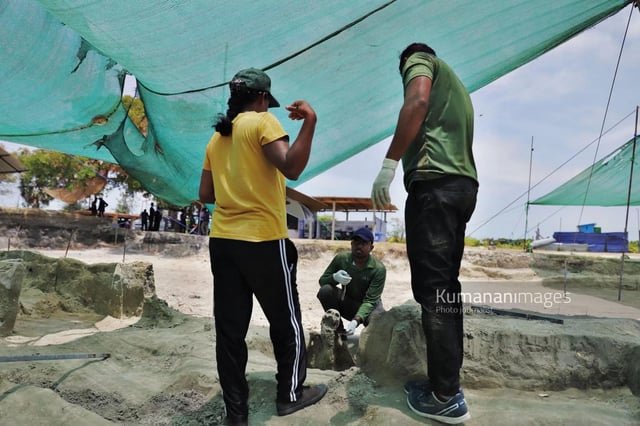 429 කියන්නේ, චෙම්මනිවල මිනිසුන් පණපිටින් වැළලූ කතාවද? human skeleton no 429 was identified