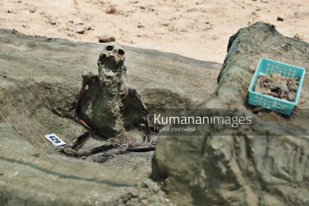 429 කියන්නේ, චෙම්මනිවල මිනිසුන් පණපිටින් වැළලූ කතාවද? human skeleton no 429 was identified