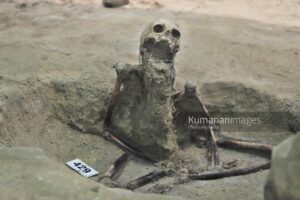 human skeleton no 429 was identified