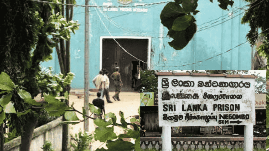 negombo prison clash two dead knews