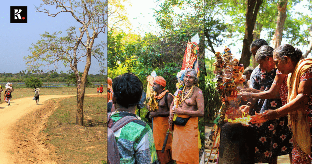 okanda kataragama murugan devotion pada yatra knews