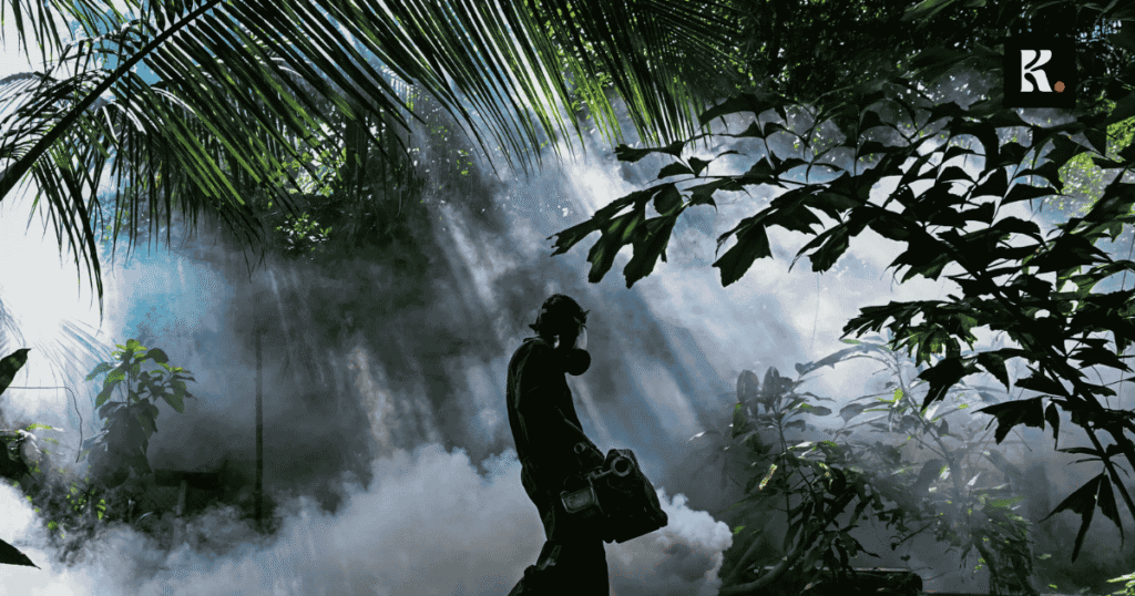 sri lanka dengue outbreak cases increase knews