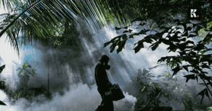 sri lanka dengue outbreak cases increase knews