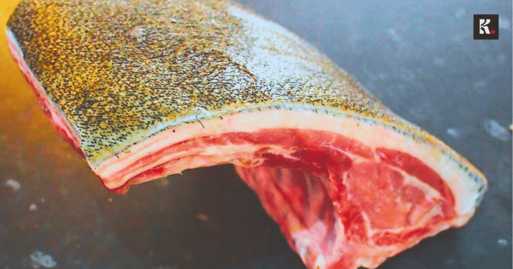 උල් වාරා රස නොමරා..! wild boar kfoods 2 knews
