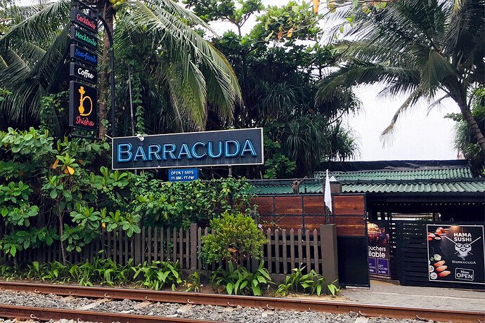 barracuda web