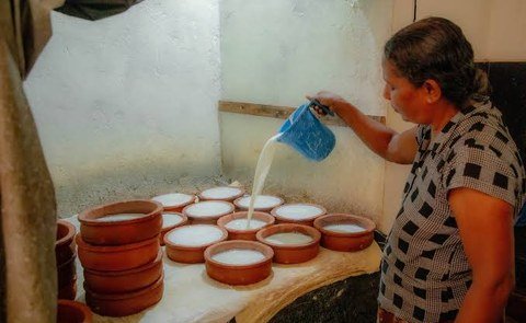මී කිරි මී විතකින්…! web 480x295 3